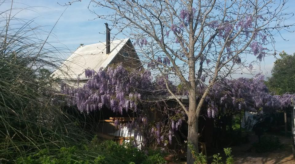 The Magical Kliphuis主图