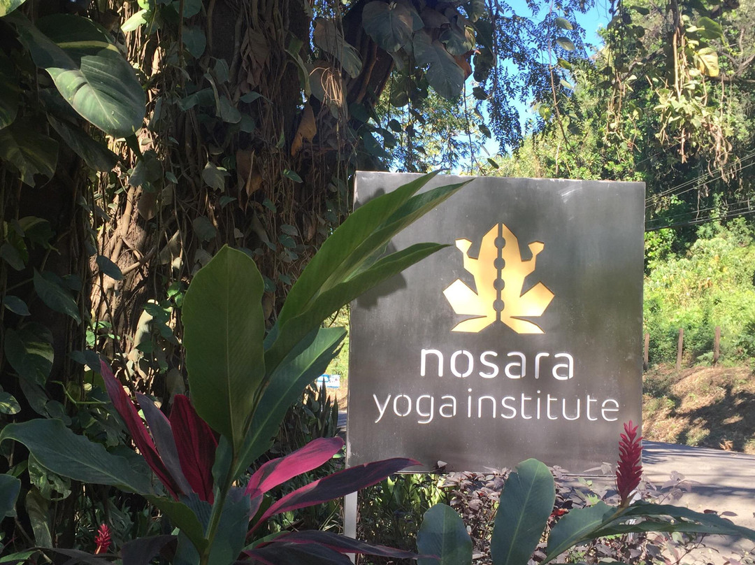 Nosara Yoga Institute景点图片