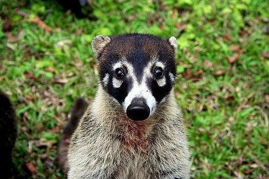 Thumbs Up Tours-彭塔雷纳斯必去景点