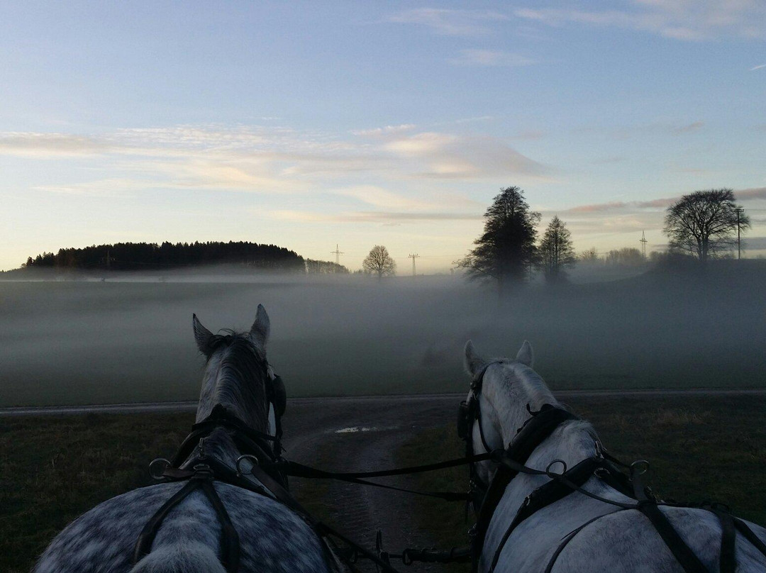 Coaching in Bavaria-Pahl必去景点
