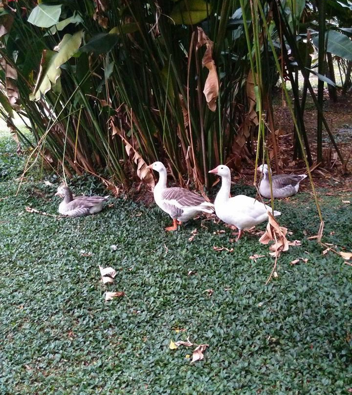 Parque de la Babilla-卡利必去景点