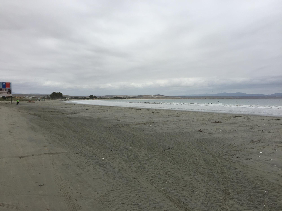 Playa Grande-Tongoy必去景点