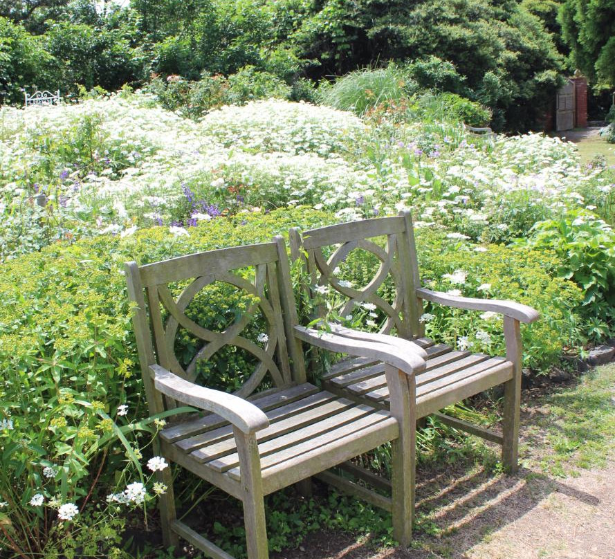 The Dreaming Place Rose Garden-君津市必去景点