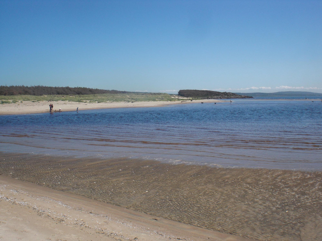 Grimsholmen Nature Reserve-Falkenberg必去景点
