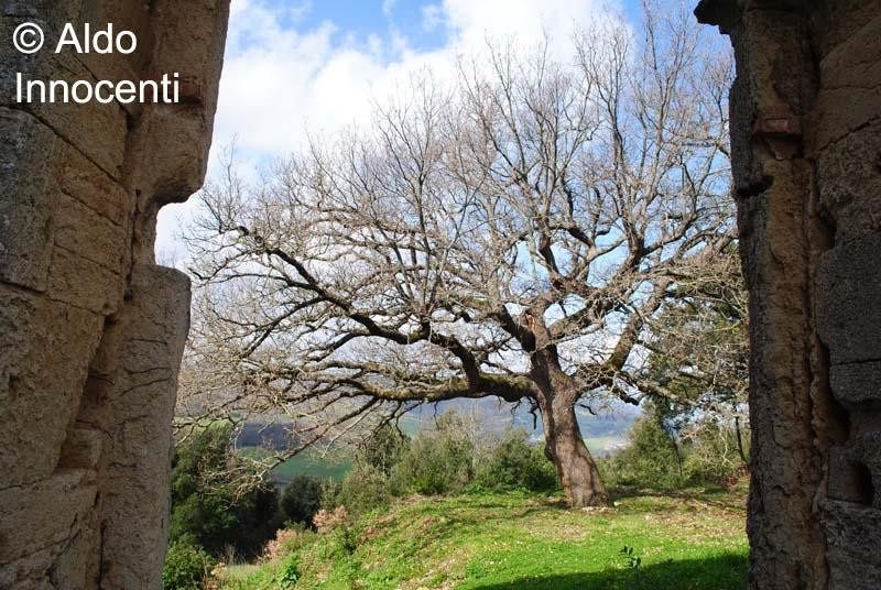 Pieve di San Giovanni Battista景点图片