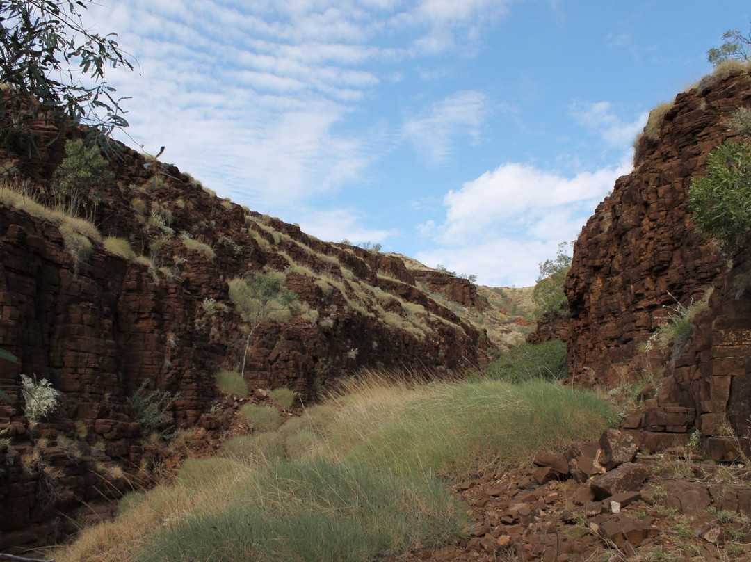 Marble Bar旅游攻略图片