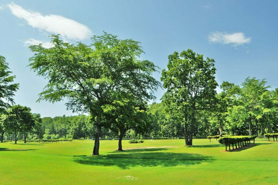Donguri Park-更别村必去景点