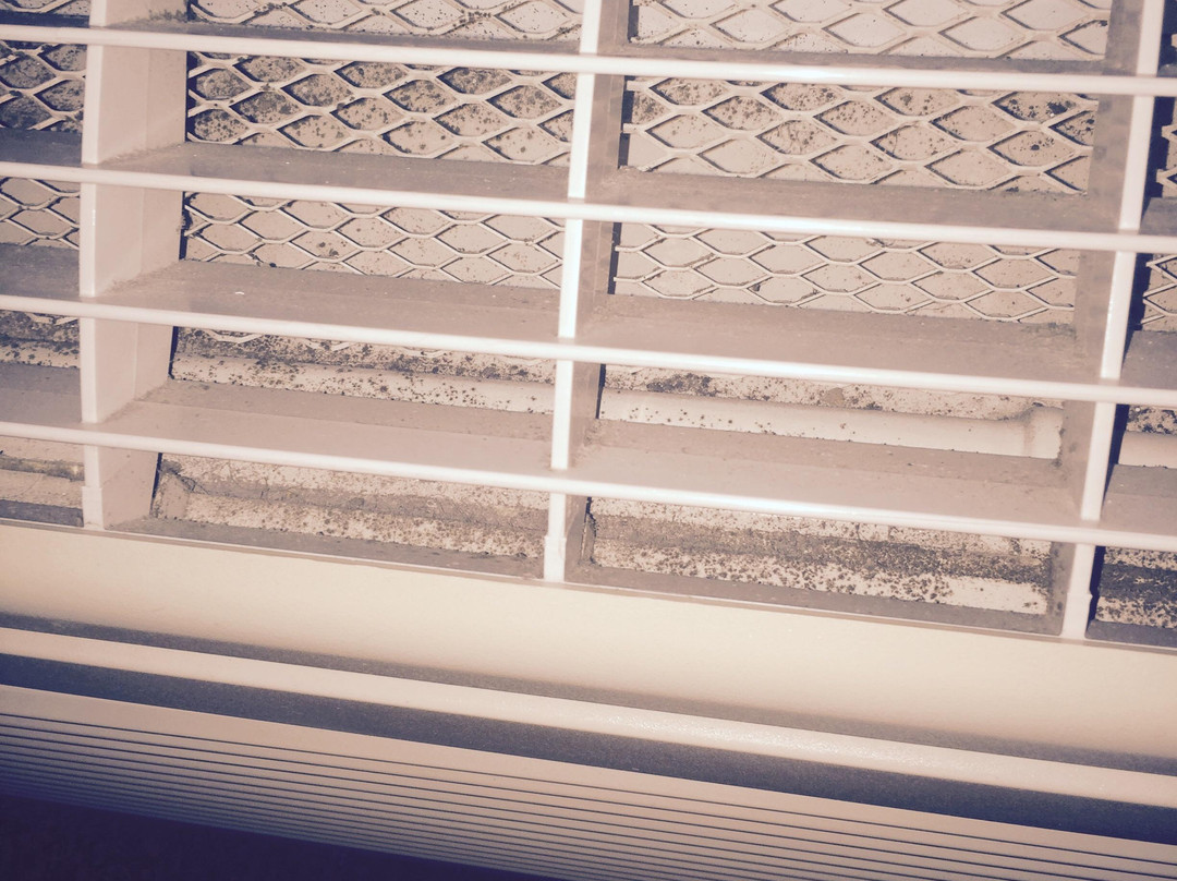 Blooming Prairie酒店住宿-Econo Lodge