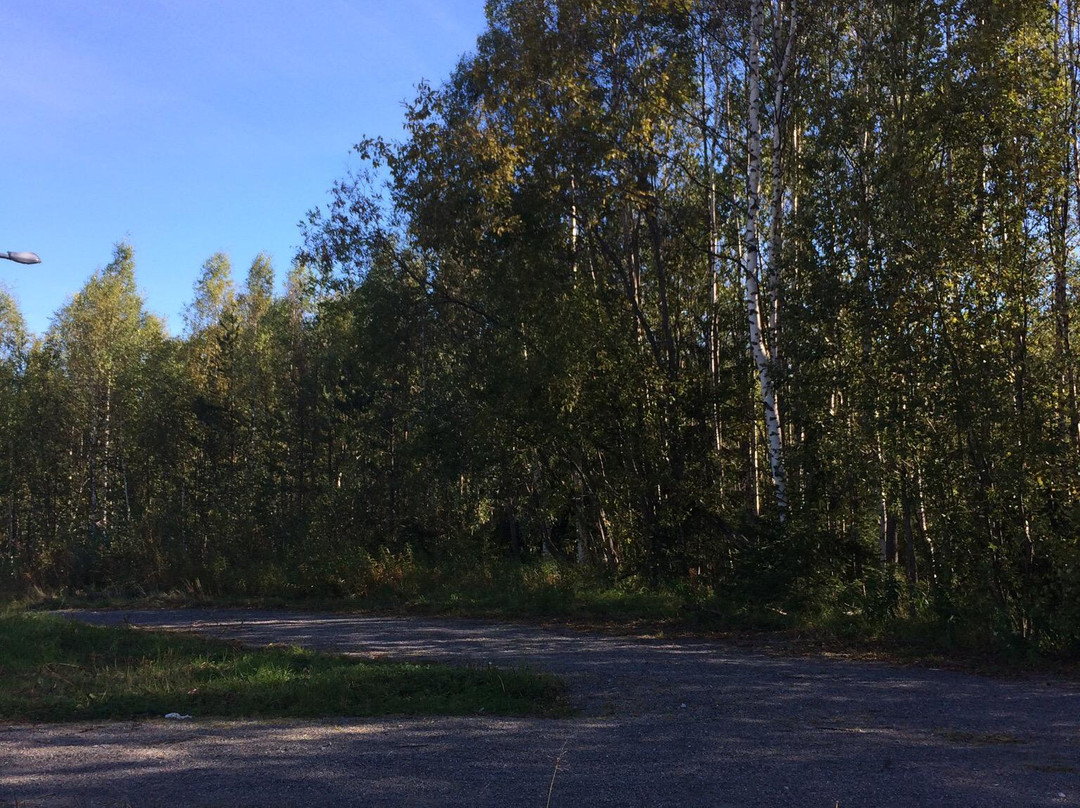 Hertsoestigen Trail-Luleå必去景点