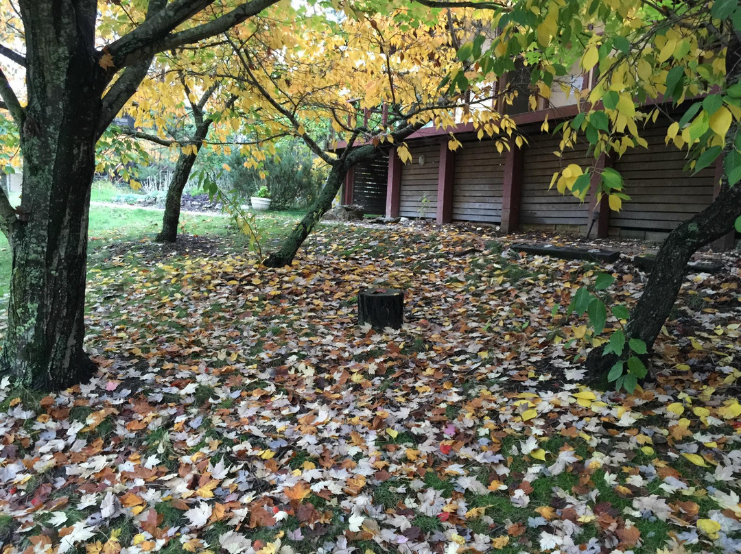 Vipassana Meditation Centre-布莱克希思必去景点