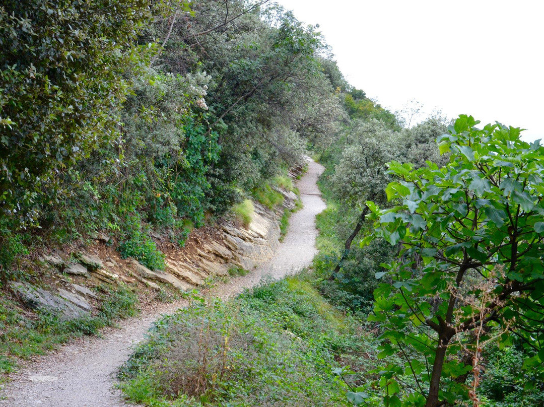 Busatte Park – Tempesta景点图片