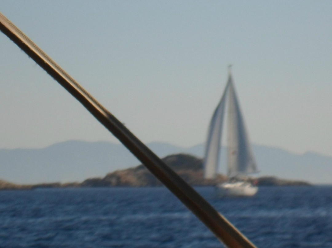 Chrisopigi Travel Boat Tour景点图片