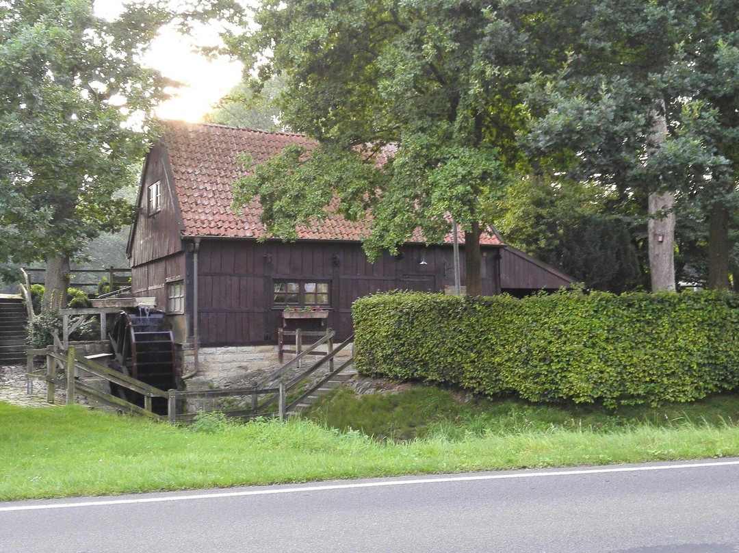 Nordbecks Mühle-Halle必去景点