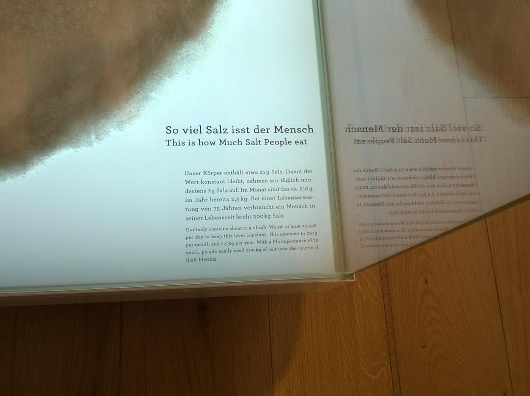 Westfälische Salzwelten景点图片