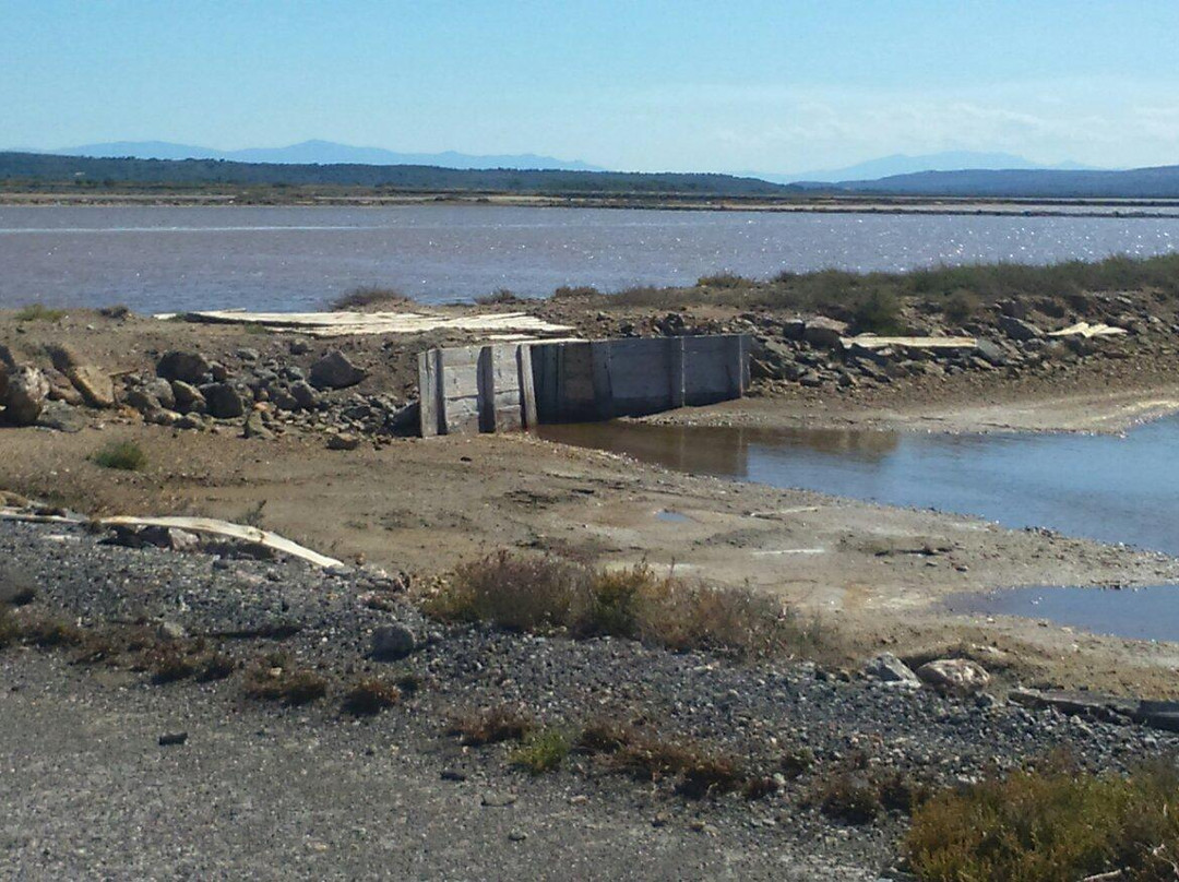 Salin de la Palme-La Palme必去景点