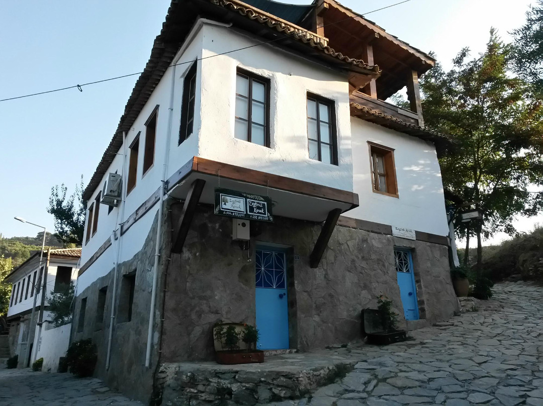 Zeytinli Konak主图