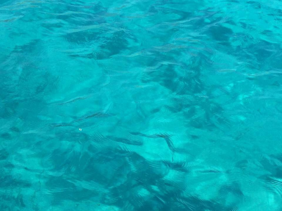 George's Watersports - Boat Hire Latchi-Latchi必去景点