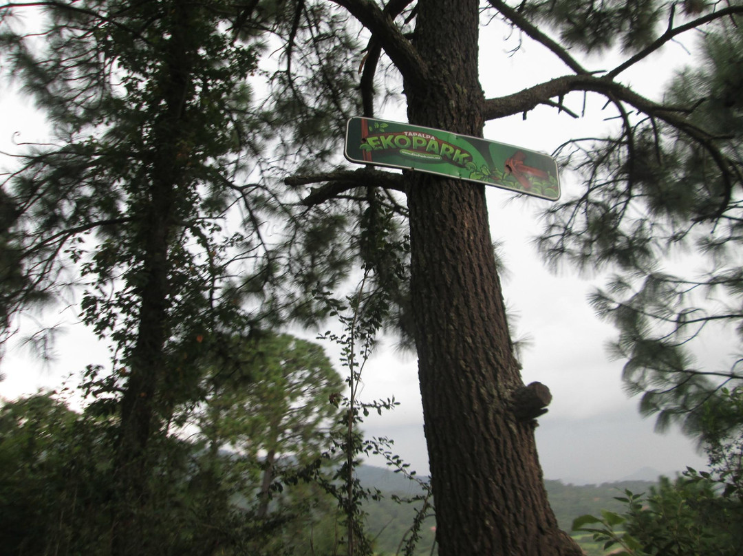 Ekopark Tapalpa-Tapalpa必去景点