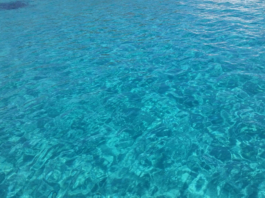 Asinara Garbo Charter-斯廷蒂诺必去景点