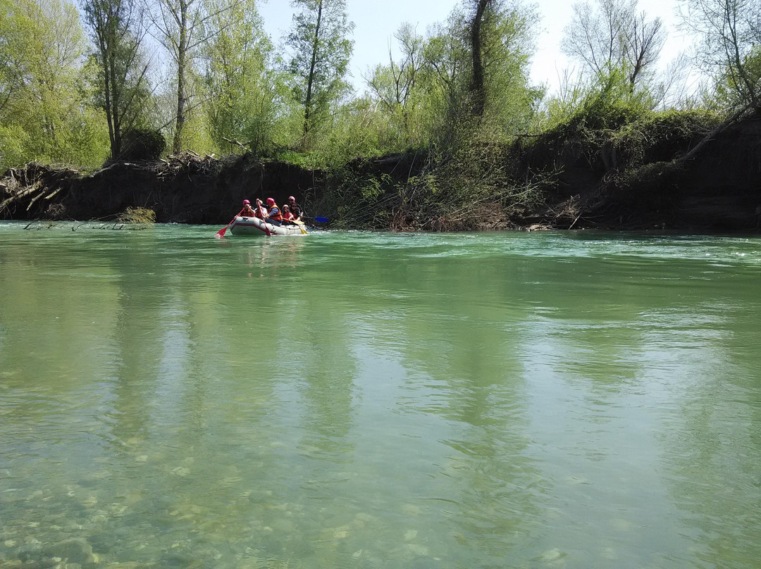 Fiume Ombrone景点图片