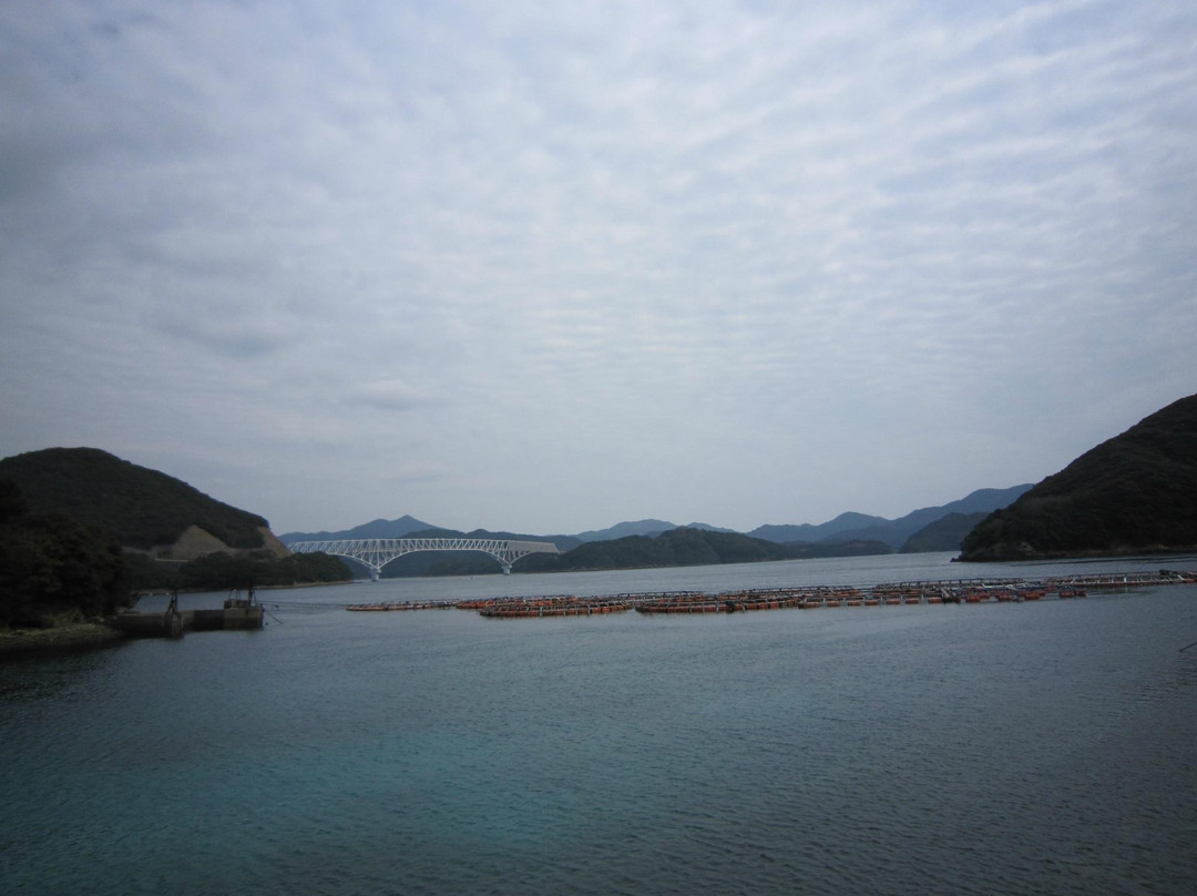 Wakamatsu Ohashi Bridge景点图片