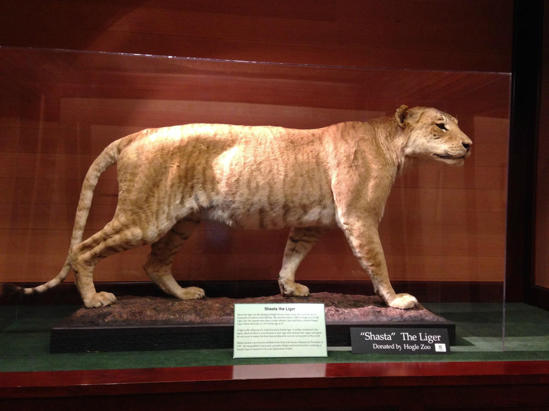 Monte L. Bean Life Science Museum-普若佛必去景点