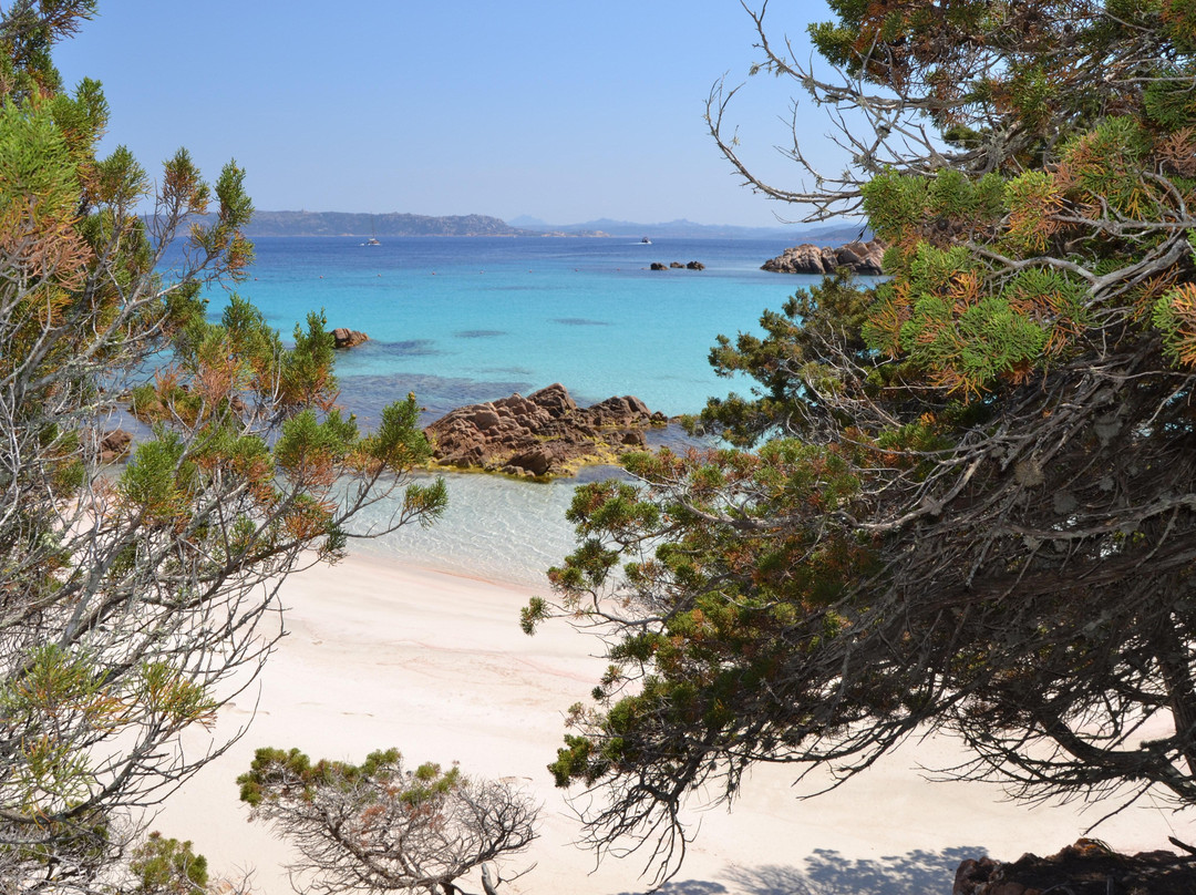 Spiaggia Rosa-Budelli必去景点