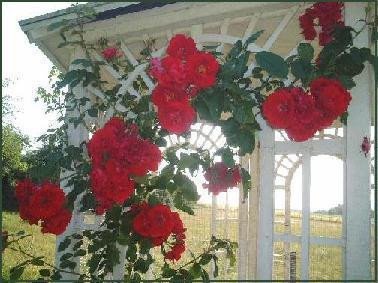 Jardins de Belle Rive主图