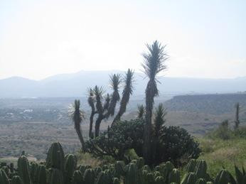 Zona Arqueologica de Pahnu-Tecozautla必去景点