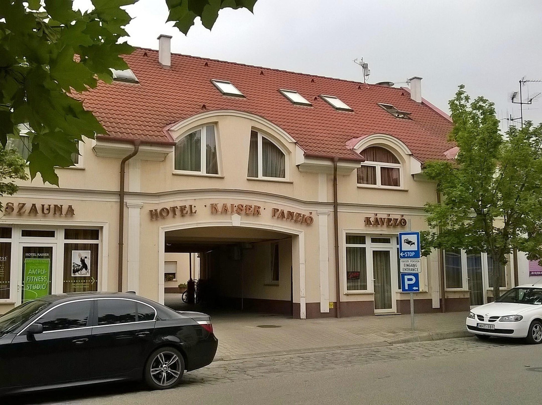 Kaiser Panzio Hotel主图