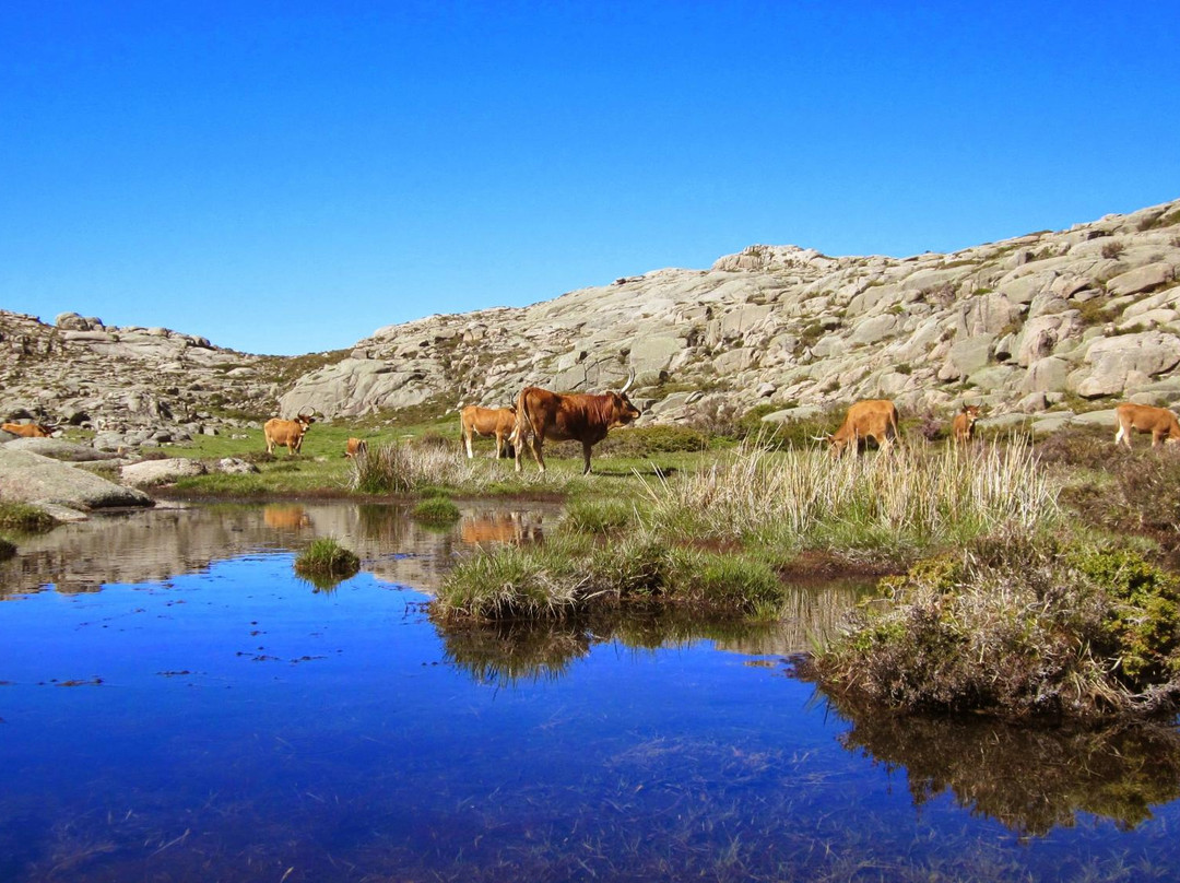 Peneda-Gerês National Park & Northern Portugal Hiking Tours景点图片