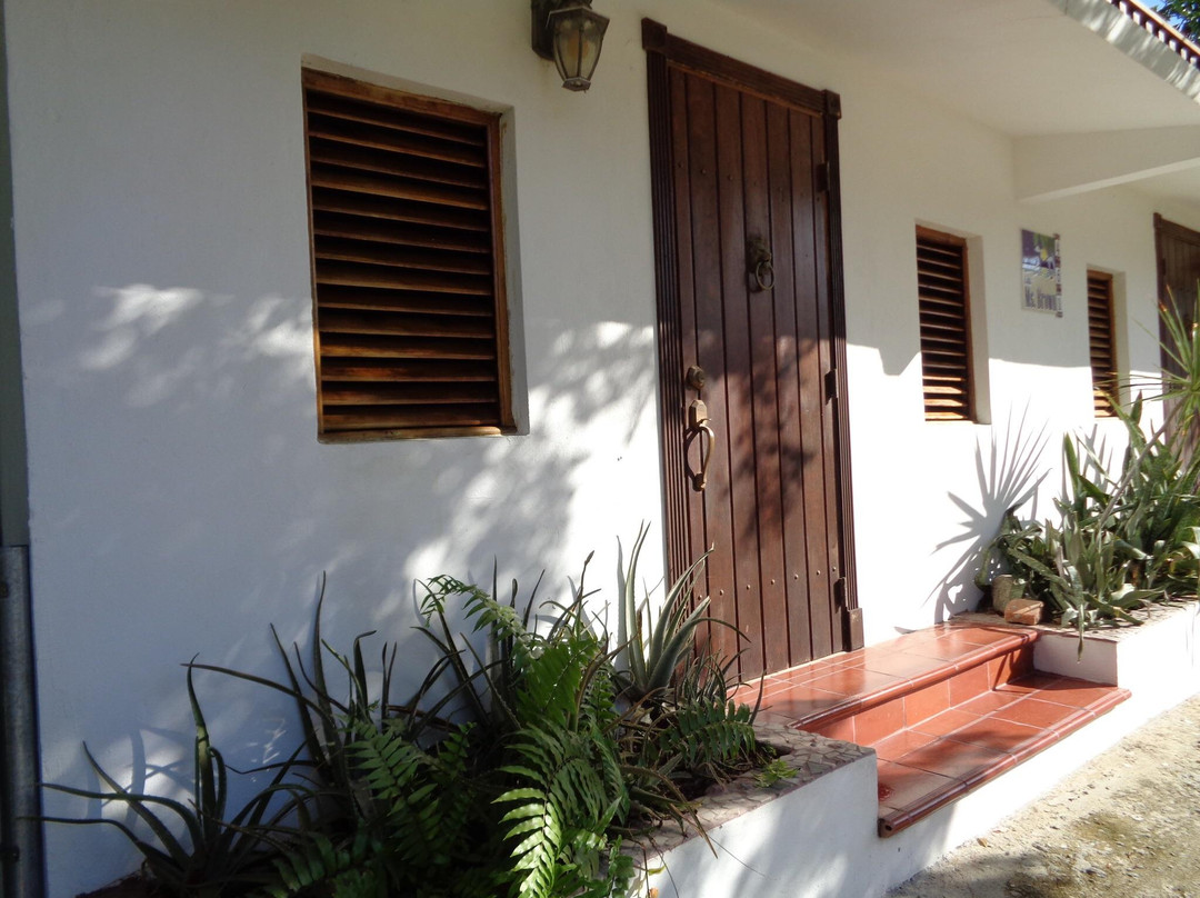 Caribbean Sea Guesthouse