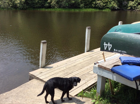 Price Lake Boat Rentals-布洛英罗克必去景点