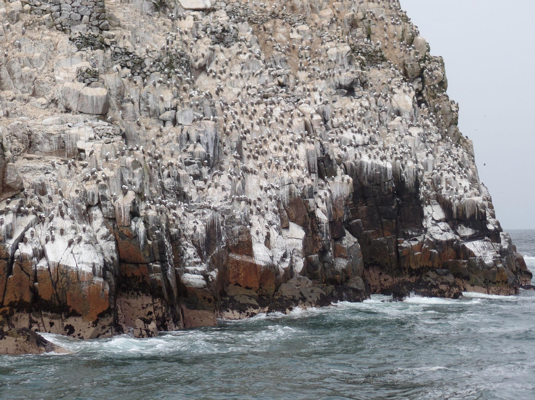 Islas Palomino-Callao必去景点