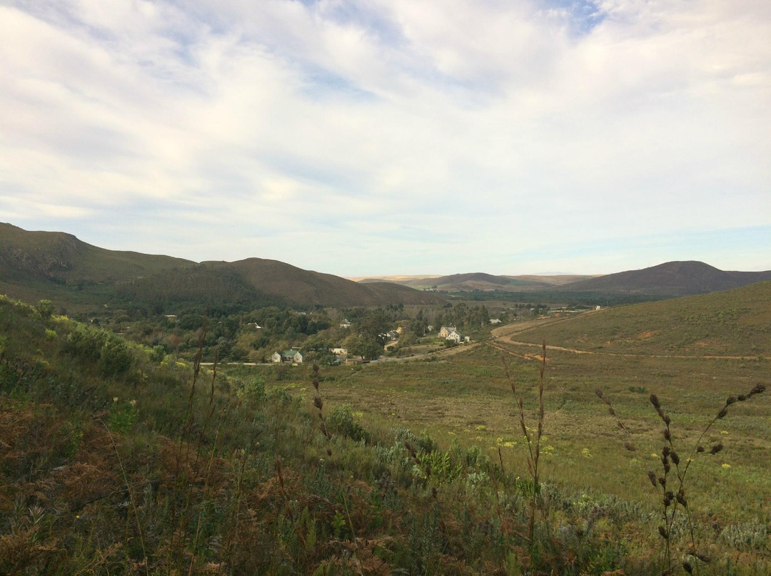 Greyton Nature Reserve景点图片
