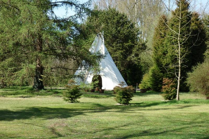 Levaltipis