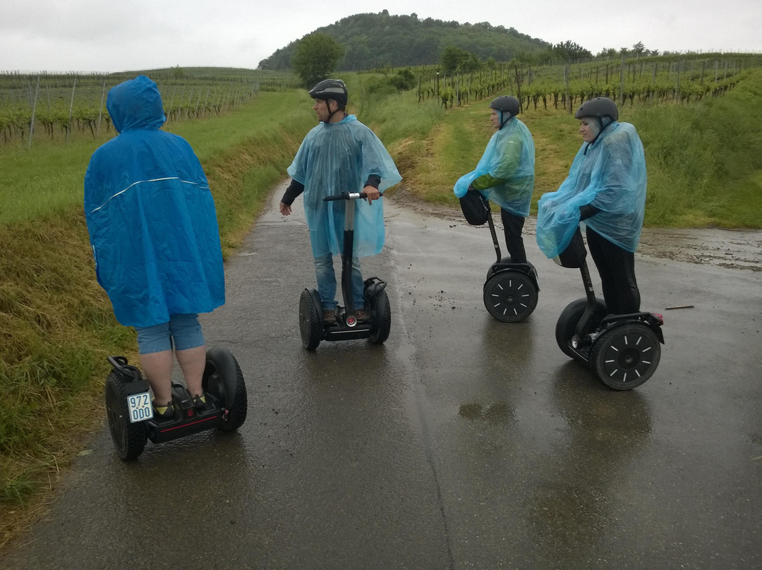Segway Kaiserstuhl景点图片