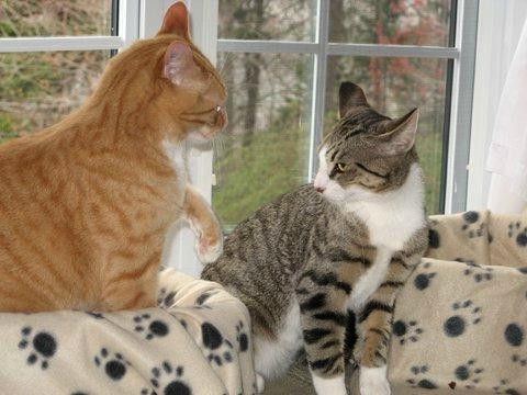 Breaside Court Bed & Breakfast主图