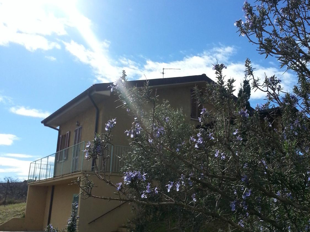 B&B Amore di Maremma主图