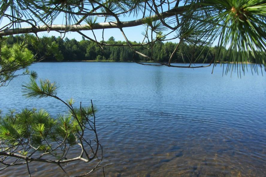 Canisbay Lake Day Use Area景点图片