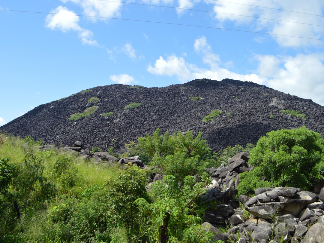 Black Mountain National Park-昆士兰必去景点