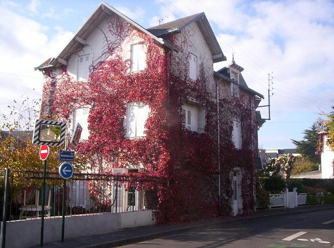 La Bergerie-官方