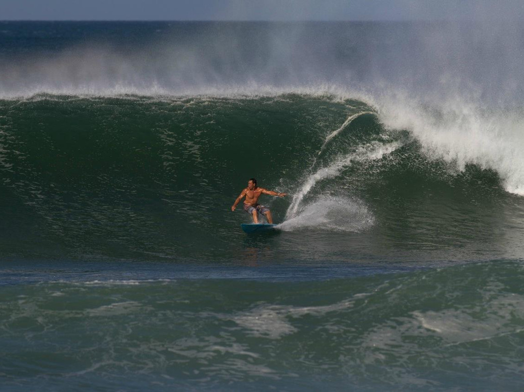 Pablo Surf School景点图片