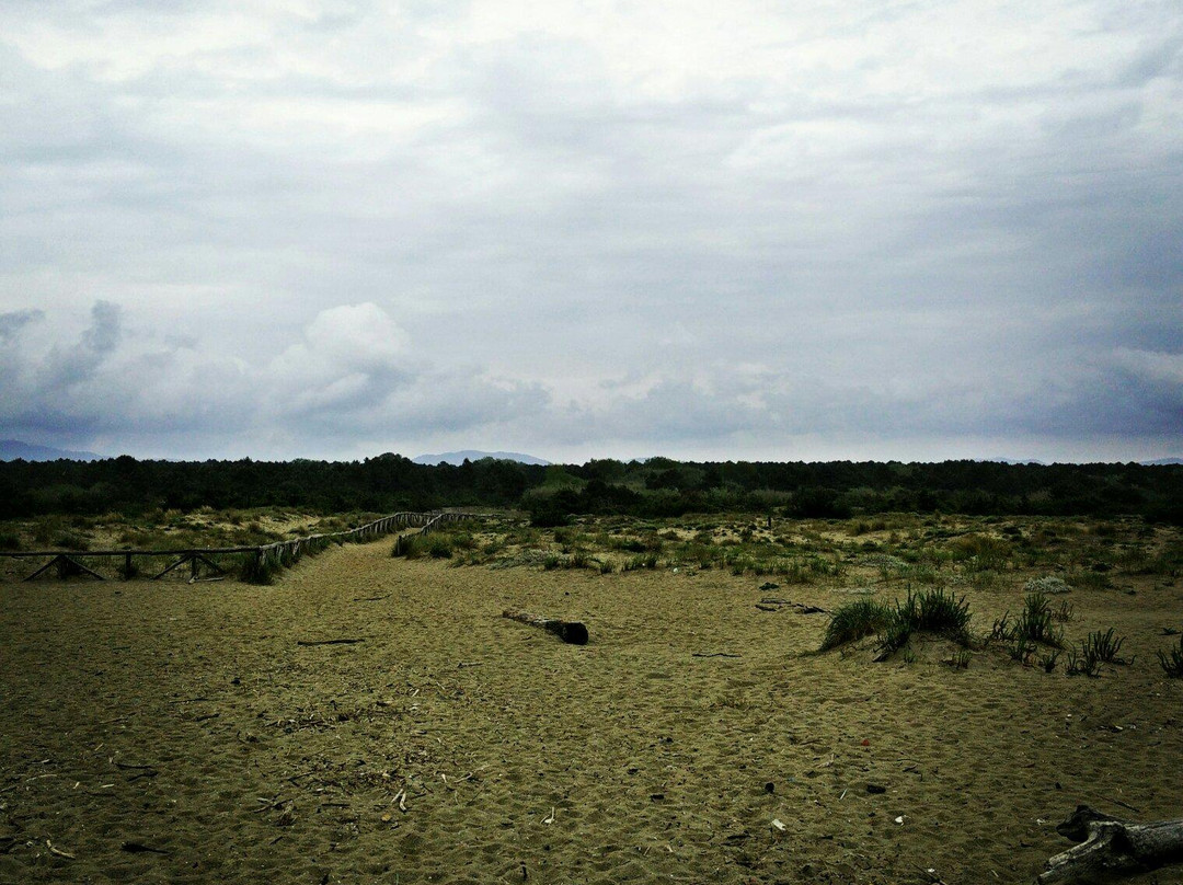 Spiaggia Della Lecciona景点图片