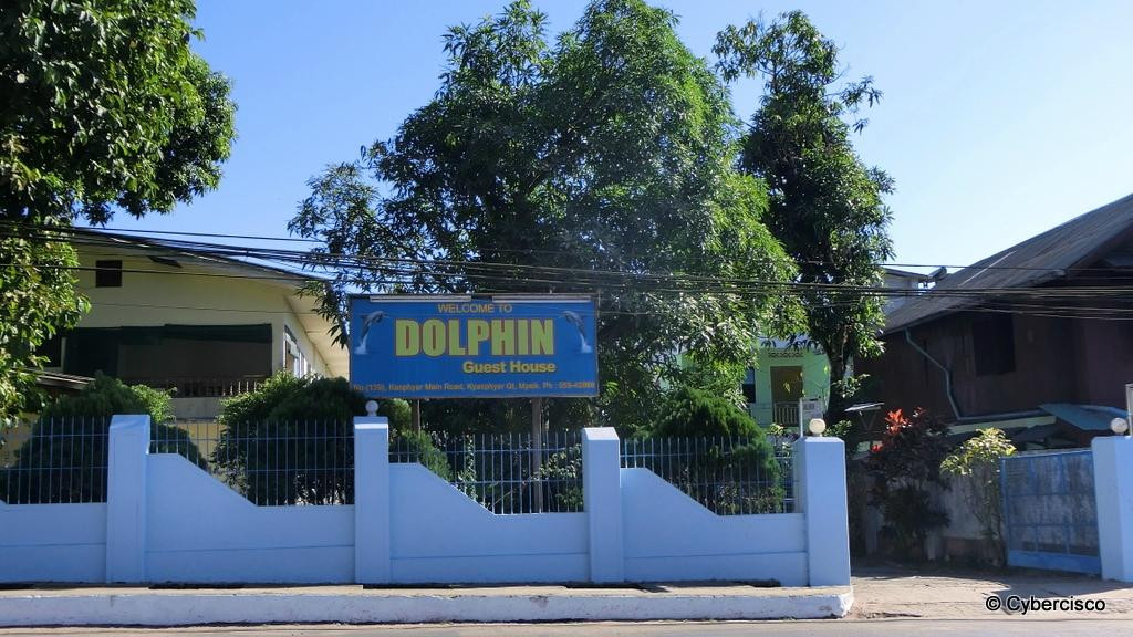 Dolphin Guest House主图