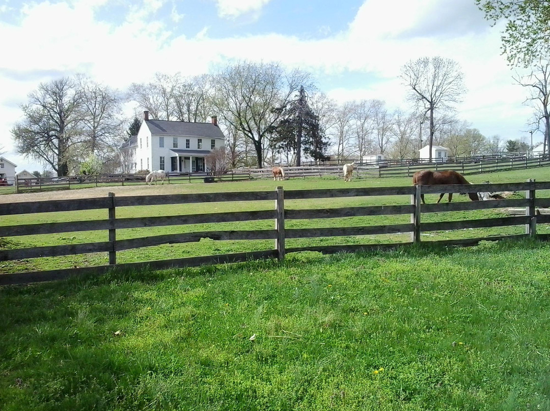 BWI Trail-巴尔的摩必去景点