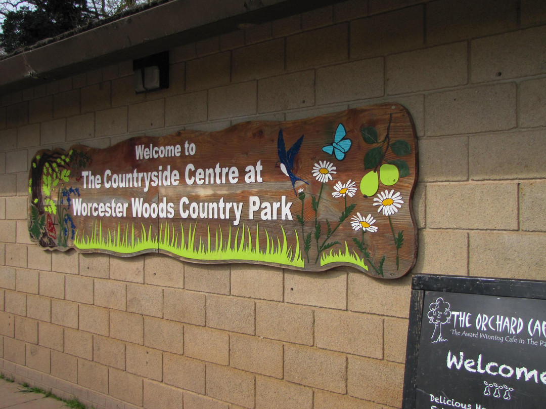 Worcester Woods Country Park景点图片