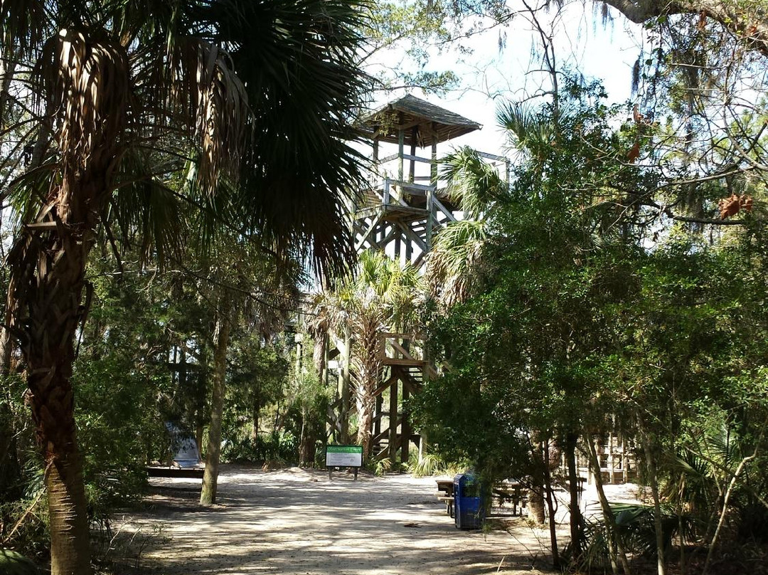 Mount Pleasant Palmetto Islands County Park景点图片