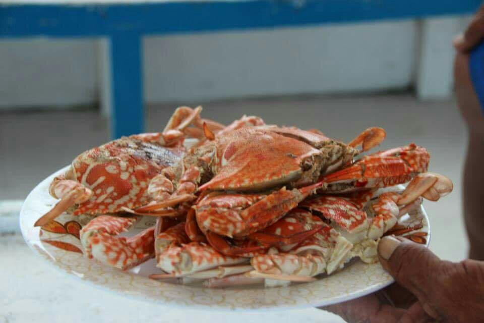 海洋梦想家环岛游-拉普拉普必去景点