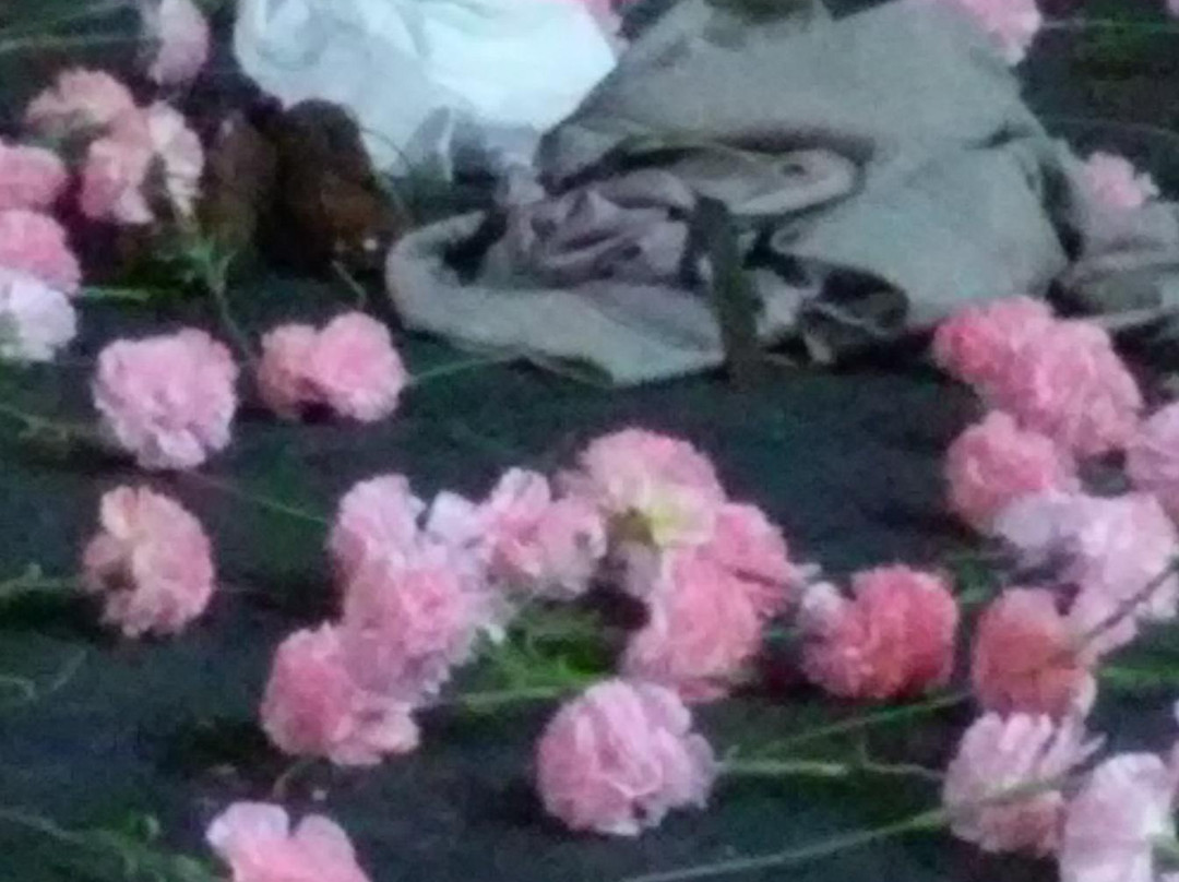 Tanztheater Wuppertal-伍珀塔尔必去景点